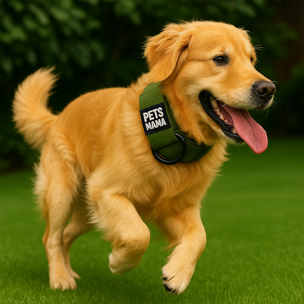 Tactical Dog Collar with Harness, Handle & AirTag Holder Pocket